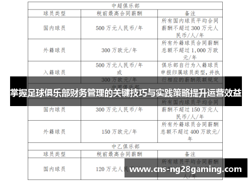 掌握足球俱乐部财务管理的关键技巧与实践策略提升运营效益