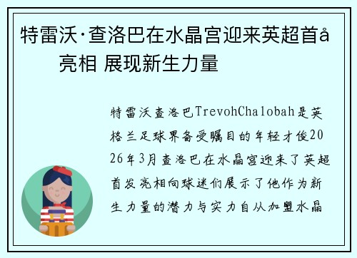 特雷沃·查洛巴在水晶宫迎来英超首发亮相 展现新生力量